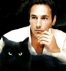 Mecs chauds avec des chats guys twink tube porn 
