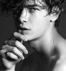 Twink Art Guys Sexy Stud Boys Gay Porn