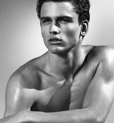 Twink Art Guys Sexy Stud Boys Gay Porn 