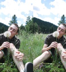 Jamie Knight and Twinks VR 3d Gay Porn 