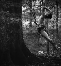 P's Forest Boys Twink Art Porn