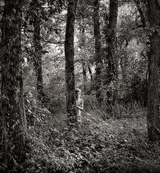 P's Forest Boys Twink Art Porn 