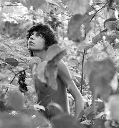 P's Forest Boys Twink Art Porn 