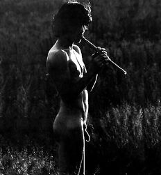 P's Forest Boys Twink Art Porn 