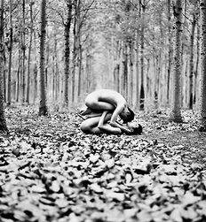 P's Forest Boys Twink Art Porn 