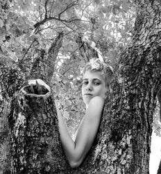P's Forest Boys Twink Art Porn 