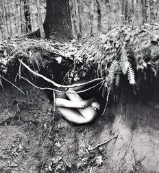 P's Forest Boys Twink Art Porn 