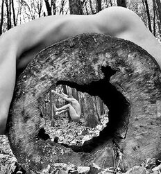 P's Forest Boys Twink Art Porn 