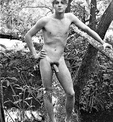 P's Forest Boys Twink Art Porn 