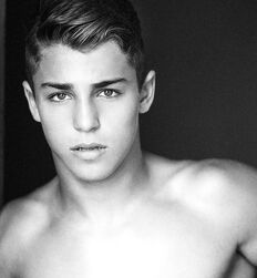 handsome fine twink porn tube 