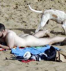 Nudist public beach nude twink porn 