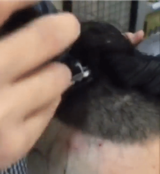 Twink Tushy TransformationTuesday Smooth And Shaved Boy Porn 
