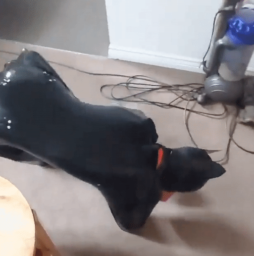 Twink Tushy TransformationTuesday Smooth And Shaved Boy Porn 