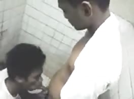 asian blowjob 8
