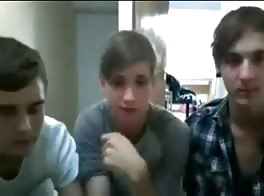 curious lads