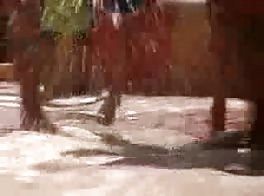 guys Accomplished Special