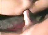Cum in my ass