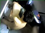 Fucking in public toilet