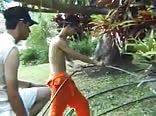 Let me show you my bird of paradise