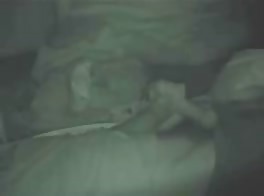 in the bed