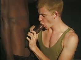 Corky - Part 1 Compelling Visual