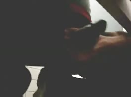 Toilet Fuck