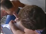 Cow poke 