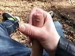 flashing my penis in public