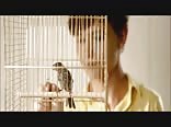 For The Love In Your Eyes--Short (Music Video)