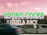 Young Cocks - Hard And Juicy