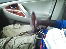 Rubbs his stick on the passengers seat