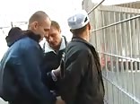 Bad Boys