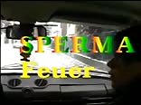 Sperm Fever