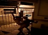 public night sex