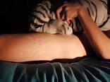 Guy plays with a tiger and cums