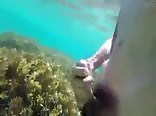 Teen wanking underwater boys porn
