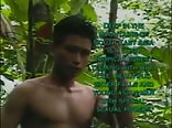 Forest Fantasy gay porn full movie