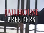 Jailhouse Breeders - Full Twink Porn Gay Videos
