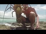 Lobster Boy Gay Tube Ocean 