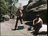 Wildlife Conservationist And Sailor Boy Porn