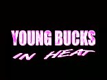 Publius - Young Bucks In Heat Gay Porn Videos