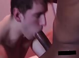 Big Cocks At Boyberry Gay Porn