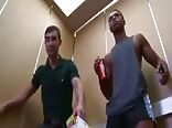 Publius - Fucking On The Elevator Gay Porn Tube