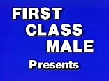 Mirrors Gay Porn First Class Males