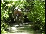 Jungle Twinks Wild Gay Porn Film