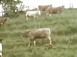 French farm boys