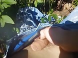 Drunk in Weeds