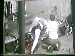 sleeping blowjob in the park