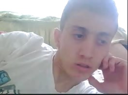 Curtis 19